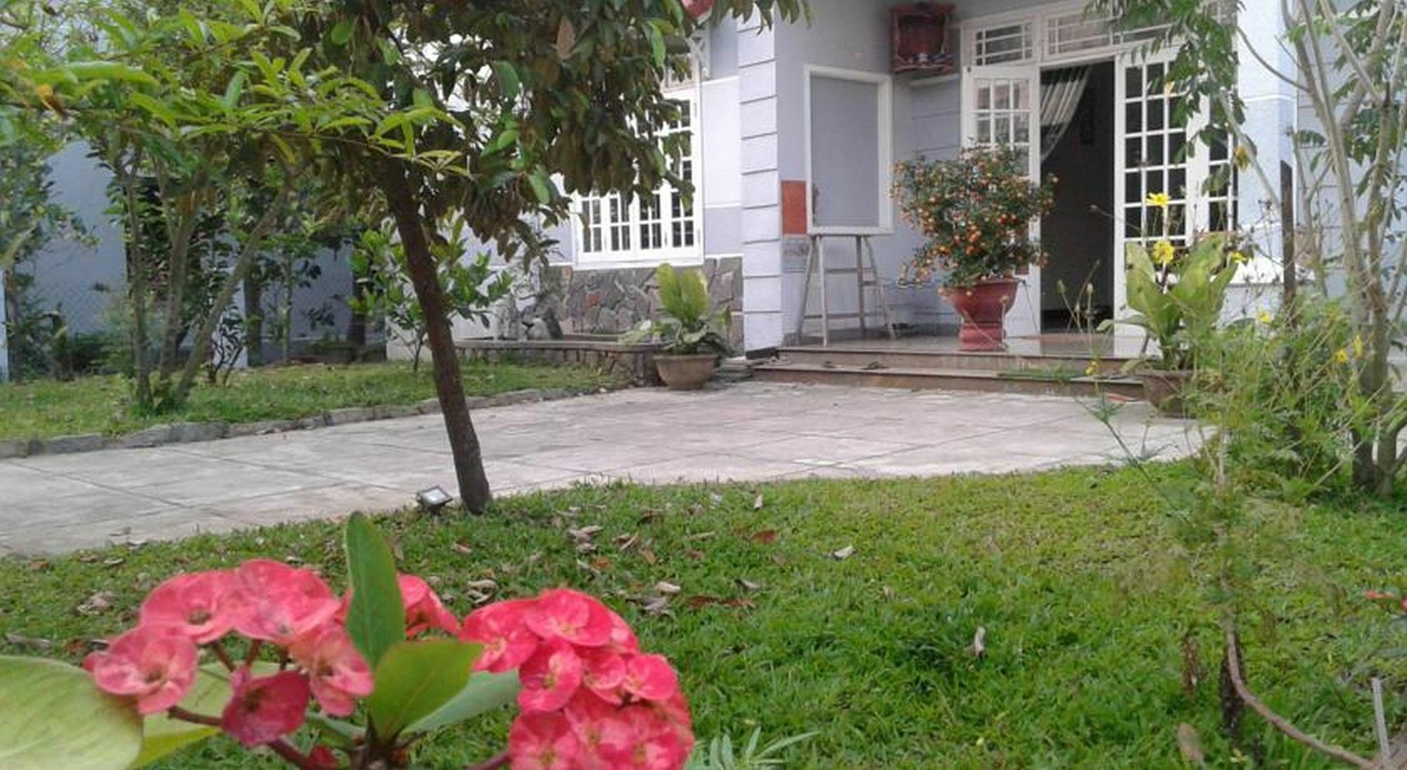 Gingergrass Homestay Hoi An Exteriér fotografie